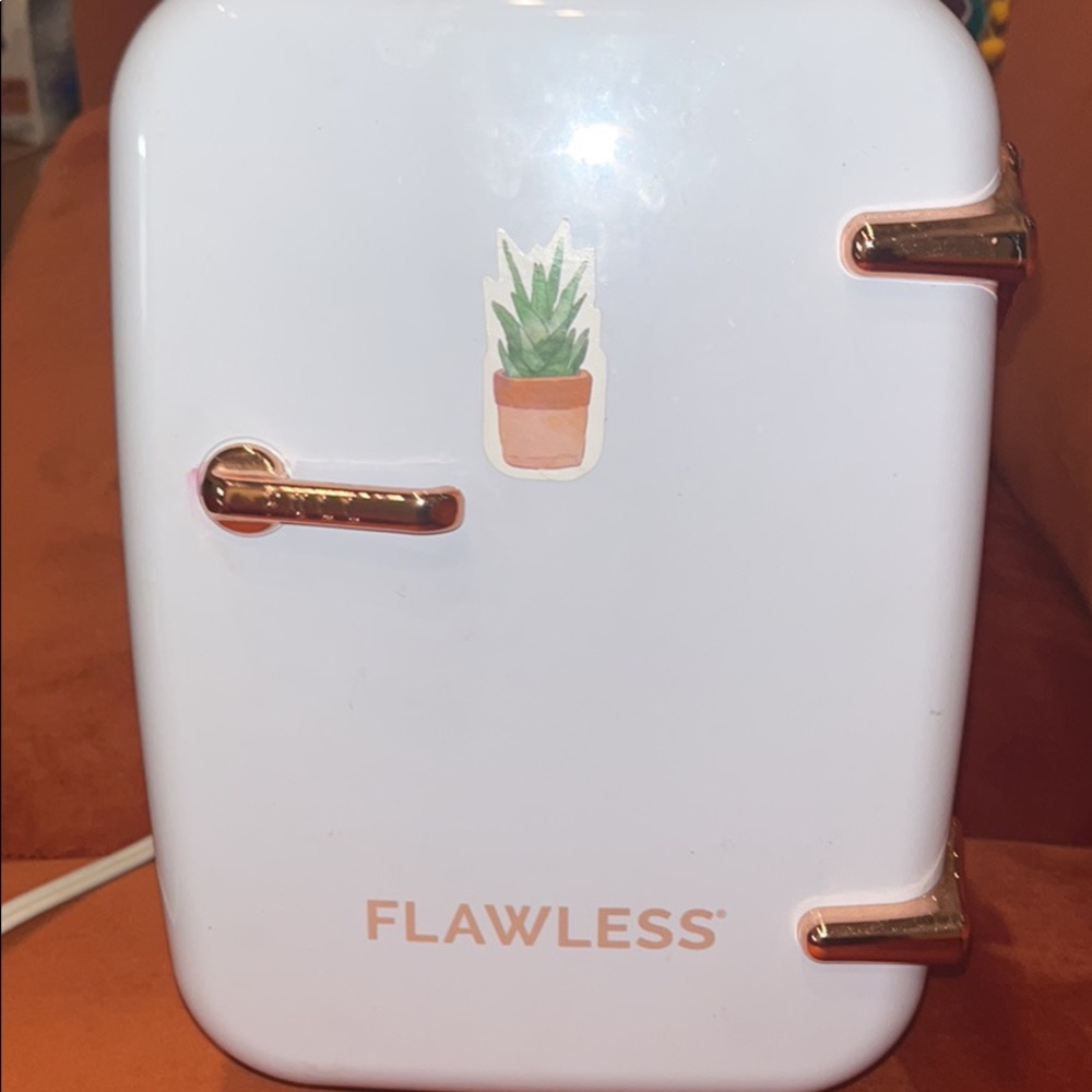 Mini Skincare Fridge